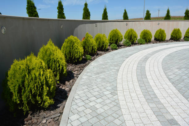 Reasons to Select Us for Your Driveway Paving Requirements in Mount Dora, FL