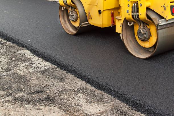 Best Decorative Driveway Pavers  in Mount Dora, FL
